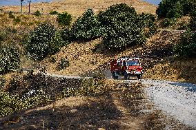 Spain Gripped by Violent Wildfires