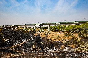 Spain Gripped by Violent Wildfires
