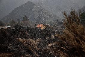 Spain Gripped by Violent Wildfires