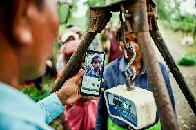 Tea Garden Workers - India