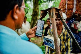 Tea Garden Workers - India