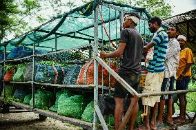 Tea Garden Workers - India