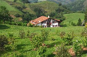 Illustration - Pays-Basque