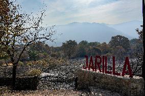 Spain Gripped by Violent Wildfires