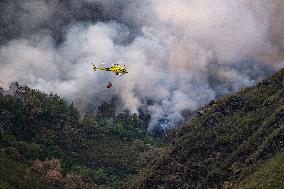 Spain Gripped by Violent Wildfires