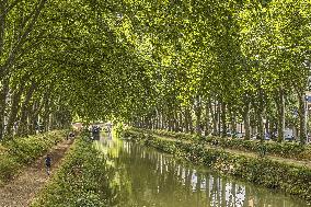 Illustration - Toulouse