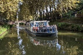 Illustration - Toulouse