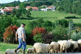 Illustration - Pays-Basque