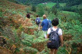 Illustration - Pays-Basque