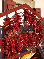 Illustration - Pays-Basque