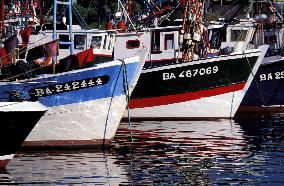 Illustration - Pays-Basque