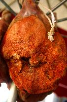 Illustration - Pays-Basque