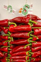 Illustration - Pays-Basque