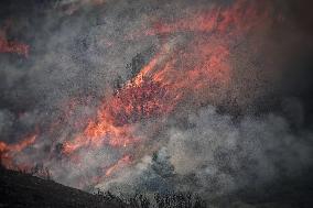 Spain Gripped by Violent Wildfires