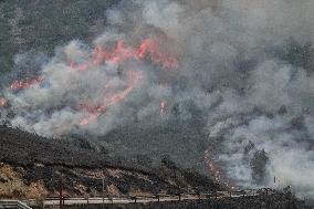 Spain Gripped by Violent Wildfires