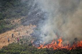 Spain Gripped by Violent Wildfires
