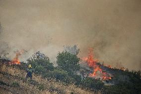 Spain Gripped by Violent Wildfires