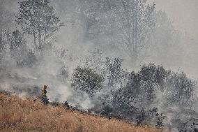 Spain Gripped by Violent Wildfires