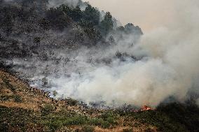 Spain Gripped by Violent Wildfires