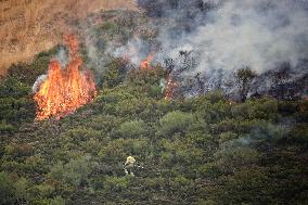 Spain Gripped by Violent Wildfires