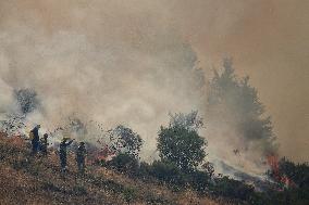 Spain Gripped by Violent Wildfires