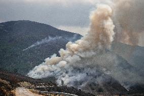 Spain Gripped by Violent Wildfires