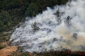 Spain Gripped by Violent Wildfires