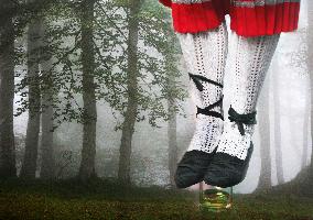 Illustration - Pays-Basque