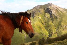 Illustration - Pays-Basque