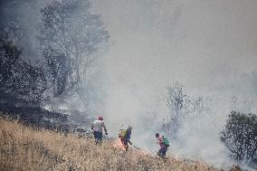 Spain Gripped by Violent Wildfires