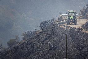 Spain Gripped by Violent Wildfires