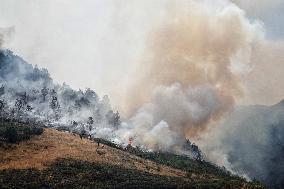 Spain Gripped by Violent Wildfires
