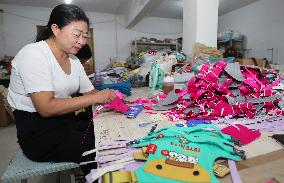 Pet Accessories Manufacturing in Huai'an