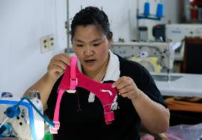 Pet Accessories Manufacturing in Huai'an