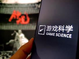 Illustration Game Science Black Myth: Zhong Kui