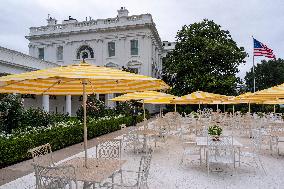 Renovations in the Rose Garden