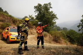 Efforts Ongoing to Control Yeres-Llamas de Cabrera Fire - Spain