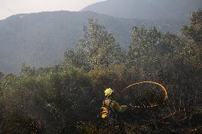 Efforts Ongoing to Control Yeres-Llamas de Cabrera Fire - Spain