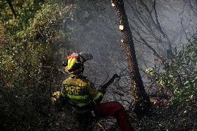 Efforts Ongoing to Control Yeres-Llamas de Cabrera Fire - Spain