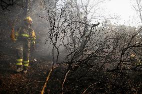 Efforts Ongoing to Control Yeres-Llamas de Cabrera Fire - Spain
