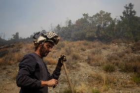 Efforts Ongoing to Control Yeres-Llamas de Cabrera Fire - Spain