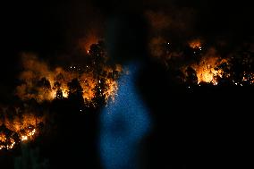 Firefighters Battle Quiroga Blaze - Spain