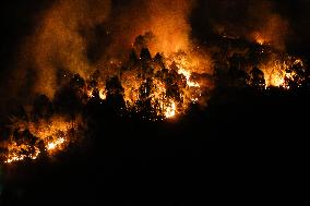 Firefighters Battle Quiroga Blaze - Spain