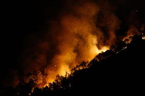 Firefighters Battle Quiroga Blaze - Spain