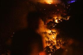 Firefighters Battle Quiroga Blaze - Spain