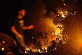 Firefighters Battle Quiroga Blaze - Spain