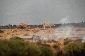 A-52 and N-525 Reopened as Sanabria Evacuations Continue - Spain