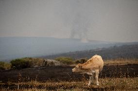 A-52 and N-525 Reopened as Sanabria Evacuations Continue - Spain
