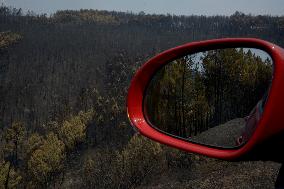 Larouco fire (Ourense) reaches 20,000 hectares burned and becomes the largest in the history of Galicia