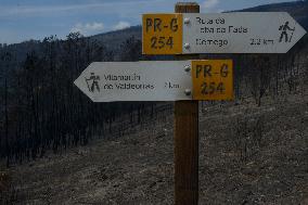 Larouco fire (Ourense) reaches 20,000 hectares burned and becomes the largest in the history of Galicia